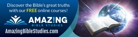 Amazing Bible Studies